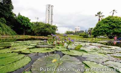 Turismo al aire libre en la Gran Caracas Top 10 de Parques que debes visitar...