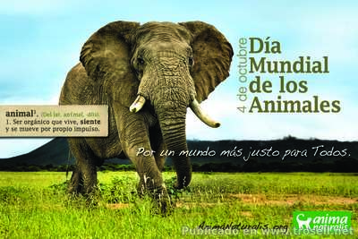 #Efemerides #Octubre #Miercoles - Día Mundial de Los Animales