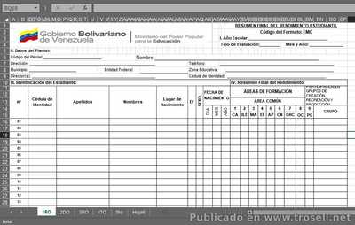 FORMATO RESUMEN FINAL NUEVO CURRICULO 2018