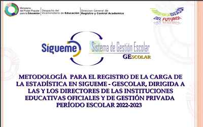 METODOLOGÍA PARA EL REGISTRO DE LA CARGA DE LA ESTADÍSTICA EN SIGUEME