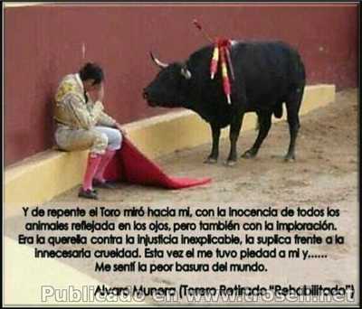 ¿Corridas de Toros ¿Deporte o asesinato?