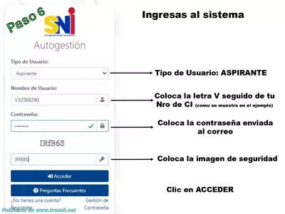 Ingresas al sistema Tipo de