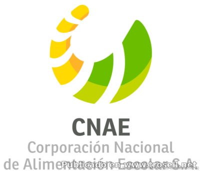 CNAE CONSTANCIA DE TRABAJO Y RECIBO DE PAGO MADRES PROCESADORAS