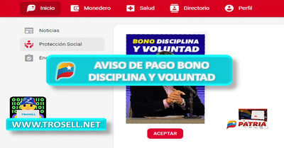 Bono Disciplina y Voluntad ✅