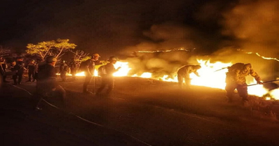 Incendio Devastador: Peligro para el Parque Nacional Henry Pittier