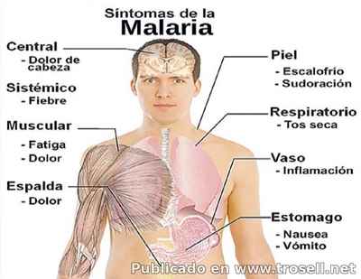 #7Nov Día contra el #paludismo en las Américas contrasta con la epidemia en el país