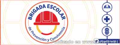 Manual de Brigadas Escolares y preguntas frecuentes.